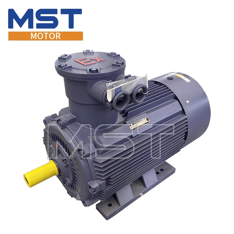 Low Voltage Induction Motor